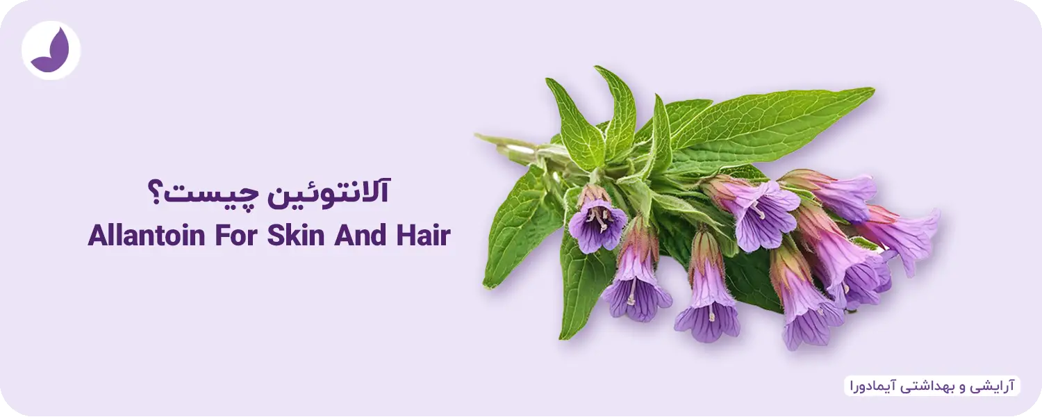 آلانتوئین چیست